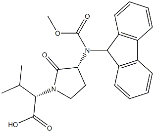 N-FMOC-FREIDINGER'S LACTAM Structure