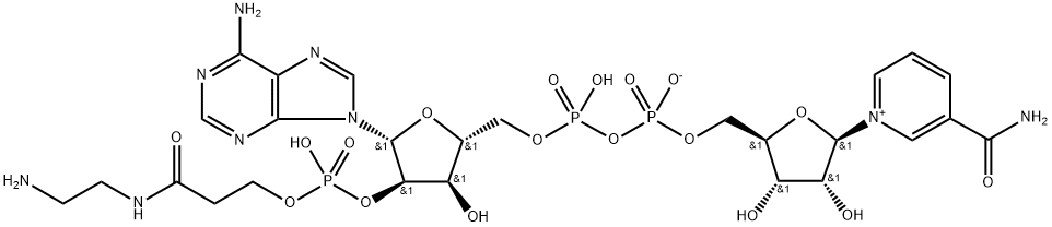 2'-O-(N-(2-aminoethyl)carbamoylethyl)phosphono-NAD Structure