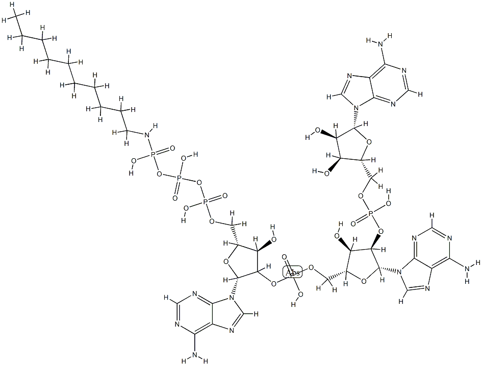 P(1)-adenylyl-5'-2'-adenylyl-5'-2'-adenosyl-P(3)-n-decylaminotriphosphate 구조식 이미지