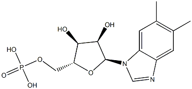 N(1)-(5-포스포리보실)-5,6-디메틸벤즈이미다졸 구조식 이미지