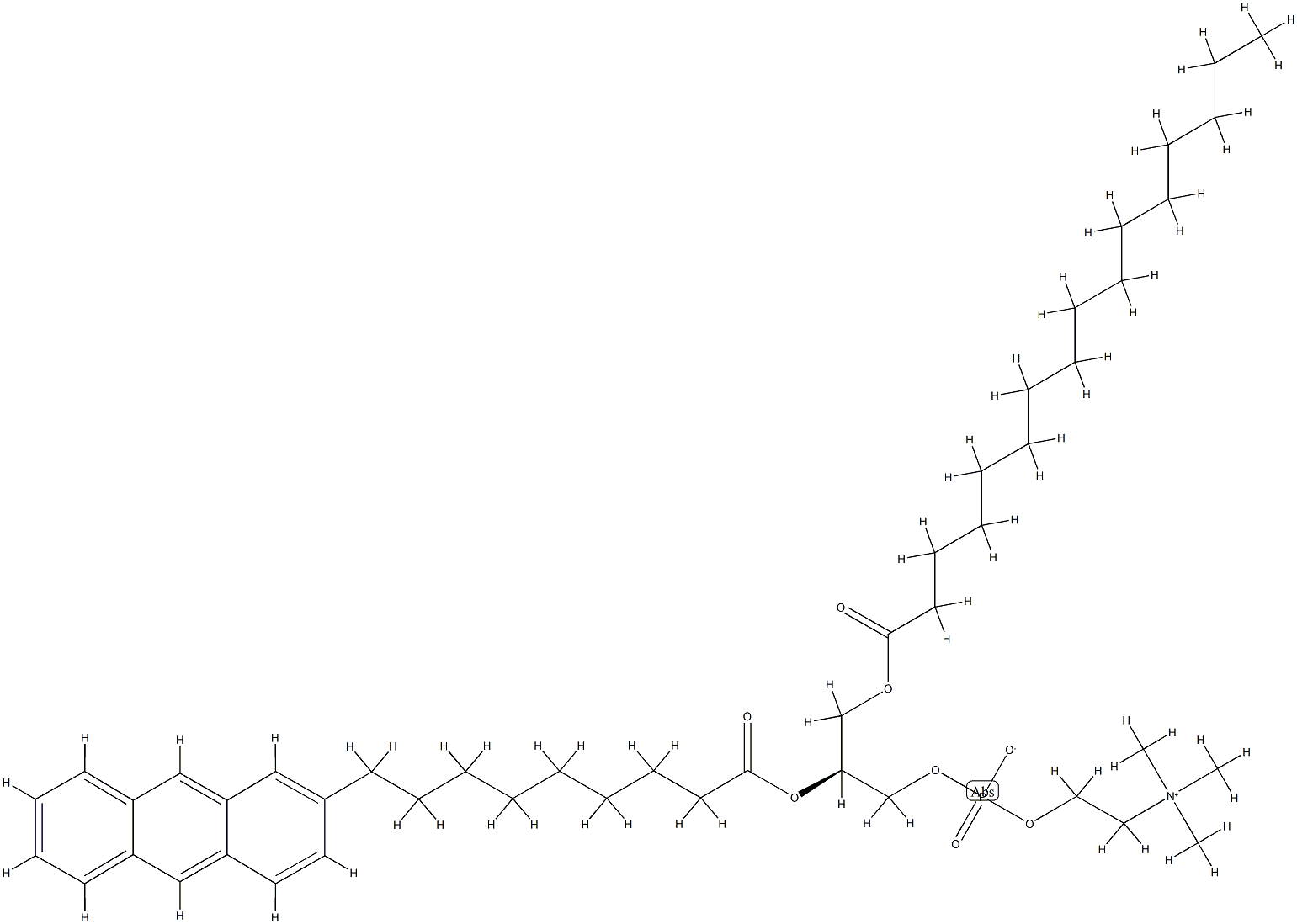 1-palmitoyl-2-(9-(2-anthryl)nonanoyl)glycero-3-phosphocholine 구조식 이미지