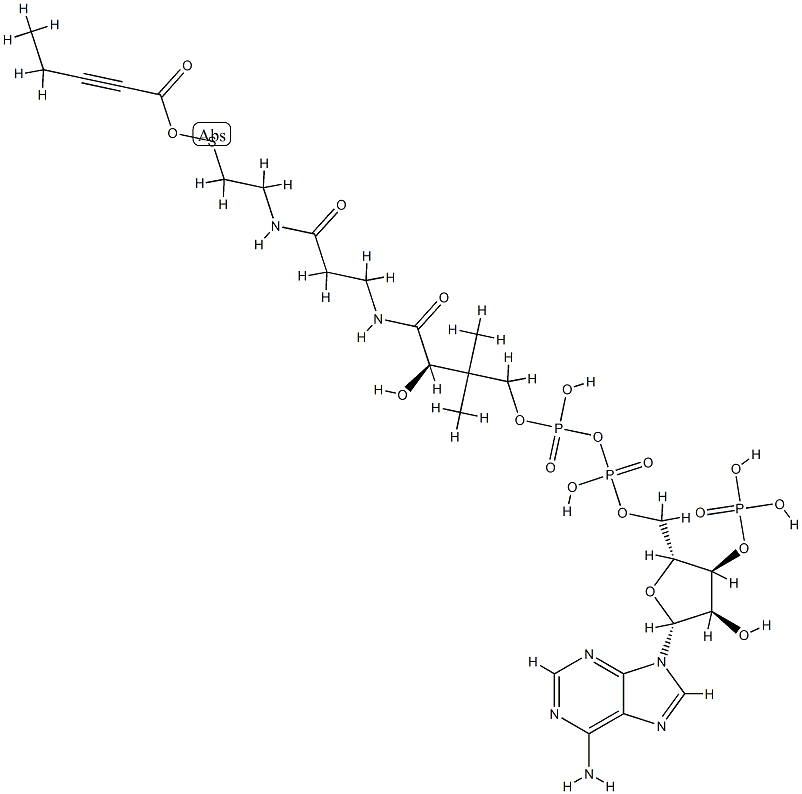 2-pentynoyl-coenzyme A Structure