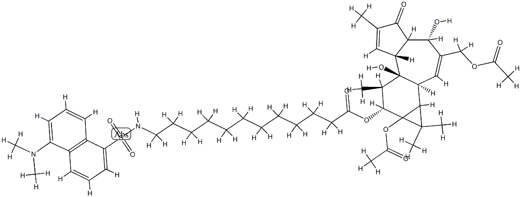 12-O-(12(N)-단실아미노도데카노일)포르볼12,20-디아세테이트 구조식 이미지