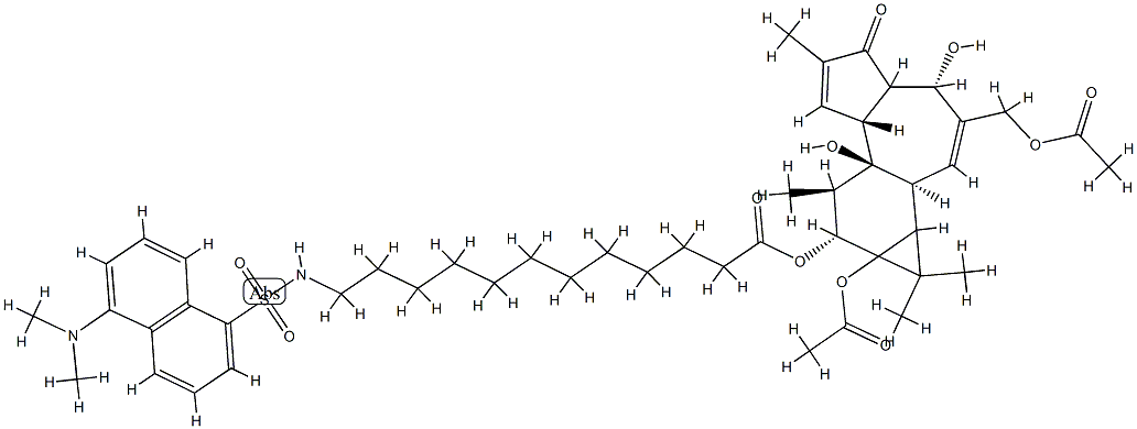 12-O-(12(N)-dansylaminododecanoyl)phorbol 12,20-diacetate Structure