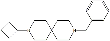 3-BENZYL-9-CYCLOBUTYL-3,9-DIAZASPIRO[5.5]UNDECANE 구조식 이미지