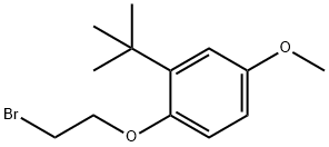 1-(2-bromoethoxy)-2-tert-butyl-4-methoxybenzene 구조식 이미지