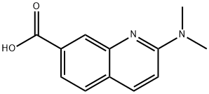 2-(DiMethylaMino)quinoline-7-carboxylic acid Structure