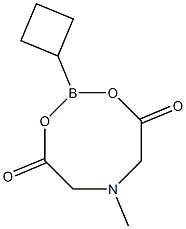Cyclobutylboronic acid MIDA ester Structure