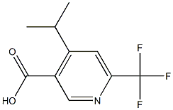 4-Isopropyl-6-trifluoromethyl-nicotinic acid 구조식 이미지