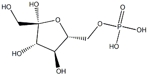 (1R,4S)-(S)-BicalutaMide황화물캠판산에스테르 구조식 이미지