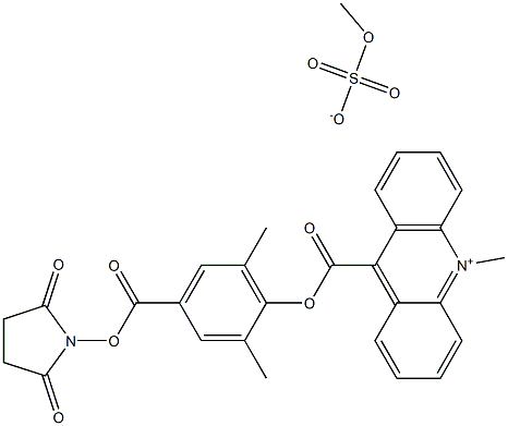 6'-Dimethyl-4'-(N-succinimidyloxycarbonyl)phenyl-10-methyl-acridinium-9-carboxylate methosulfate (DMAE-NHS) 구조식 이미지