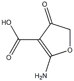 3-Furancarboxylicacid,2-amino-4,5-dihydro-4-oxo-(9CI) Structure