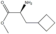 Cyclobutanepropanoic acid, α-amino-, methyl ester, (αS)- 구조식 이미지