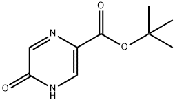 Tert-Butyl 5-Hydroxypyrazine-2-Carboxylate(WXC02199) 구조식 이미지