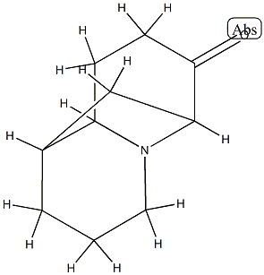 1,6-Methano-2H-quinolizin-7(6H)-one,hexahydro-(9CI) 구조식 이미지