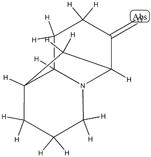 1,6-Methano-2H-quinolizin-7(6H)-one,hexahydro-(9CI) Structure