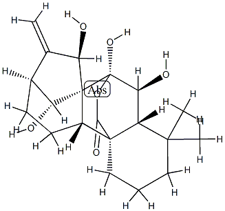 Kaur-16-en-20-oic acid,6,7,7,14,15-pentahydroxy-, 20,7-lactone, (6b,7a,14R,15b)- Structure