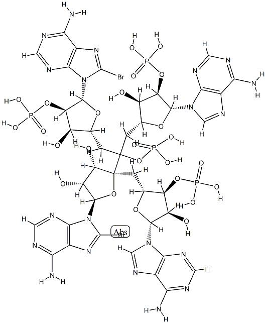 5'-monophosphoryladenylyl-(2'-5')adenylyl-(2'-5')-8-bromoadenylyl-(2'-5')-8-bromoadenosine 구조식 이미지