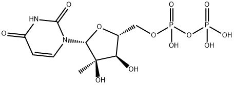 2'-C-메틸우리딘디포스페이트 구조식 이미지