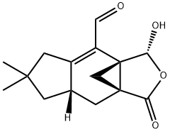 Hyphodontal Structure