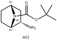 tert-butyl rac-(1S,2S,4R)-2-amino-7-azabicyclo[2.2.1]heptane-7-carboxylate hydrochloride 구조식 이미지