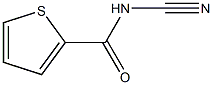 2-Thiophenecarboxamide,N-cyano-(9CI) Structure
