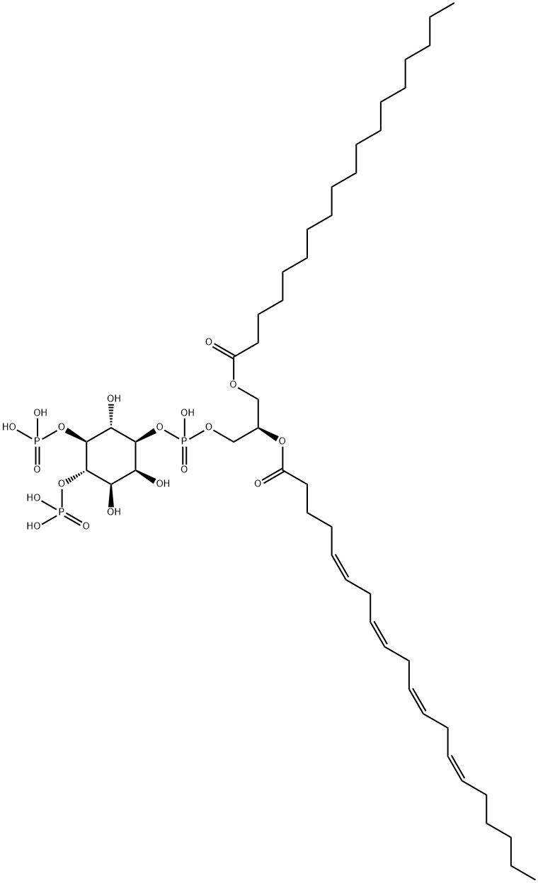 PIP2 Structure