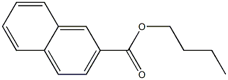 Naphthalene-2-carboxylic acid butyl ester 구조식 이미지