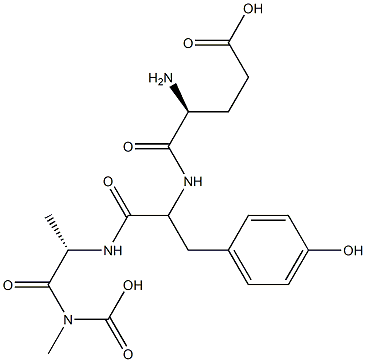 Poly(glutamyl-tyrosyl-alanyl-glycine) Structure