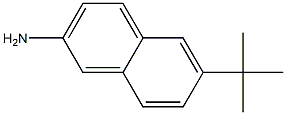 2-나프탈렌아민,6-(1,1-디메틸에틸)-(9CI) 구조식 이미지