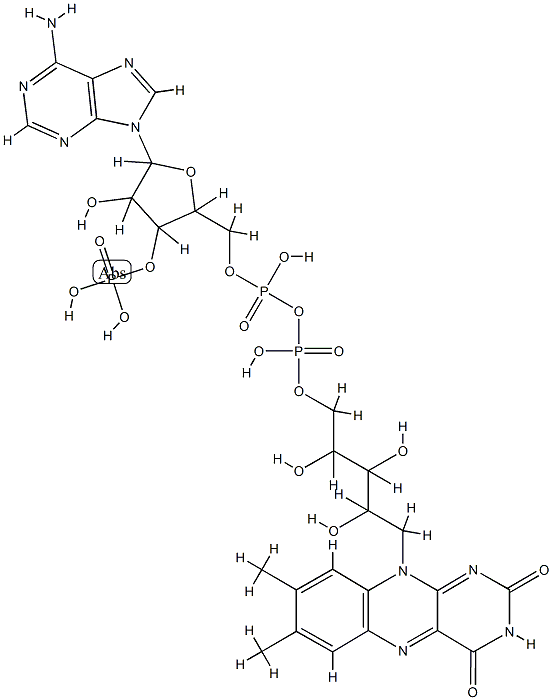 flavin-adenine dinucleotide phosphate Structure