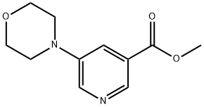 Methyl 5-Morpholinonicotinate Structure