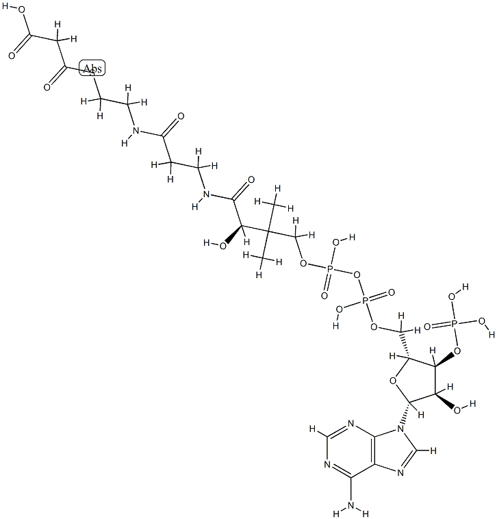S-(hydrogen malonyl)coenzyme A 구조식 이미지