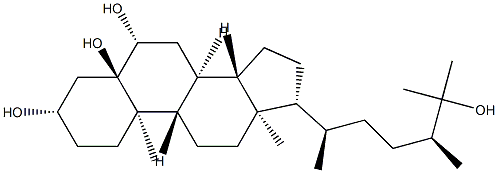 (24S)-24-Methyl-5β-cholestane-3β,5,6α,25-tetraol 구조식 이미지