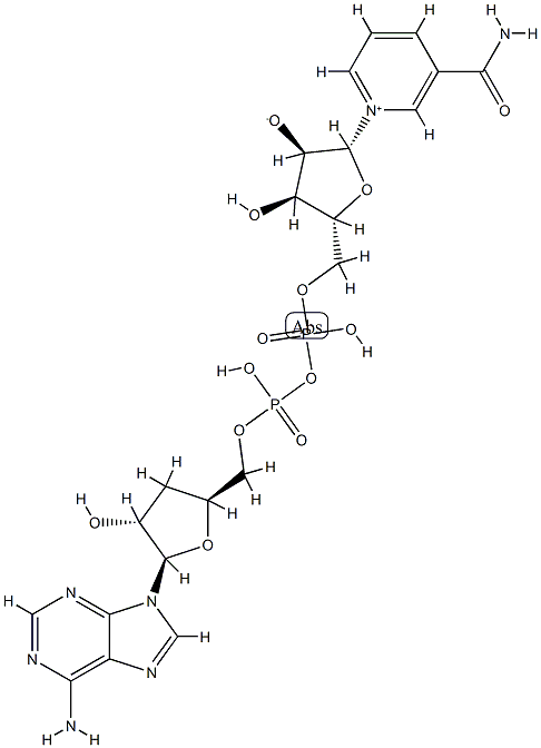 3'-deoxynicotinamide adenine dinucleotide 구조식 이미지