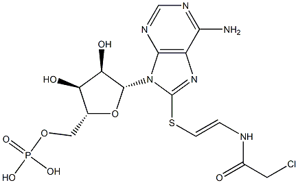 8-(chloroacetylaminoethylthio)cyclic AMP 구조식 이미지