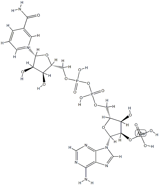Tall oil fatty acid, pentaerythritol, ethylene glycol, benzoic acid, phthalic anhydride resin 구조식 이미지
