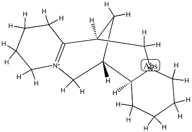1,6-Didehydrosparteinium Structure