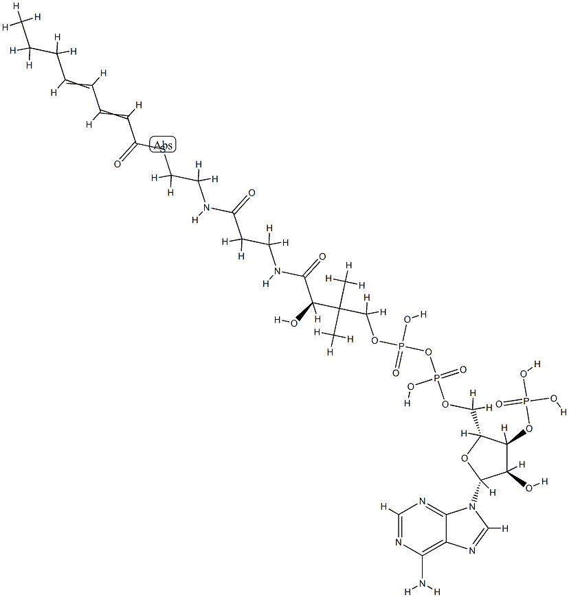 2-trans,4-trans-Octadienoyl-CoA Structure