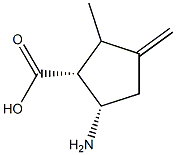 Cyclopentanecarboxylic acid, 5-amino-2-methyl-3-methylene-, (1R,5S)-rel- (9CI) Structure