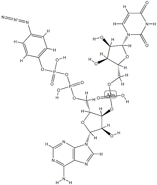 beta-(4-azidophenyl)adenylyl-(3'-5')-uridine 5'-diphosphate Structure