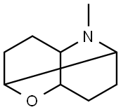 2-Oxa-7-azatricyclo[4.4.0.03,8]decane,7-methyl-(9CI) 구조식 이미지