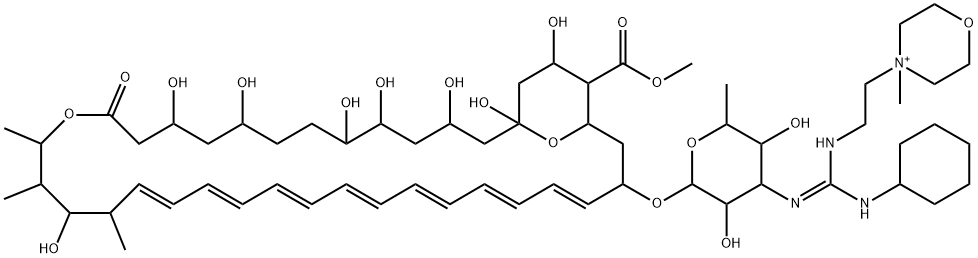 N-(N'-(2-(4'-methylmorpholinio)ethyl)-N''-cyclohexylguanyl)amphotericin B methyl ester Structure