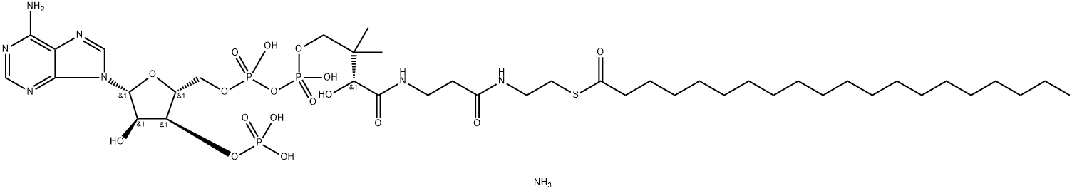 arachidoyl CoenzyMe A (aMMoniuM salt) Structure