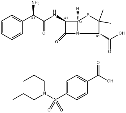 prototapen Structure