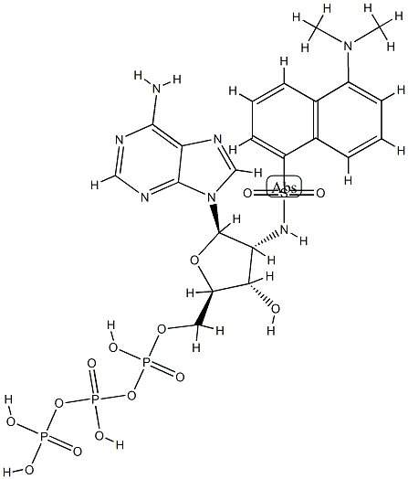 dansylamino deoxy-ATP 구조식 이미지