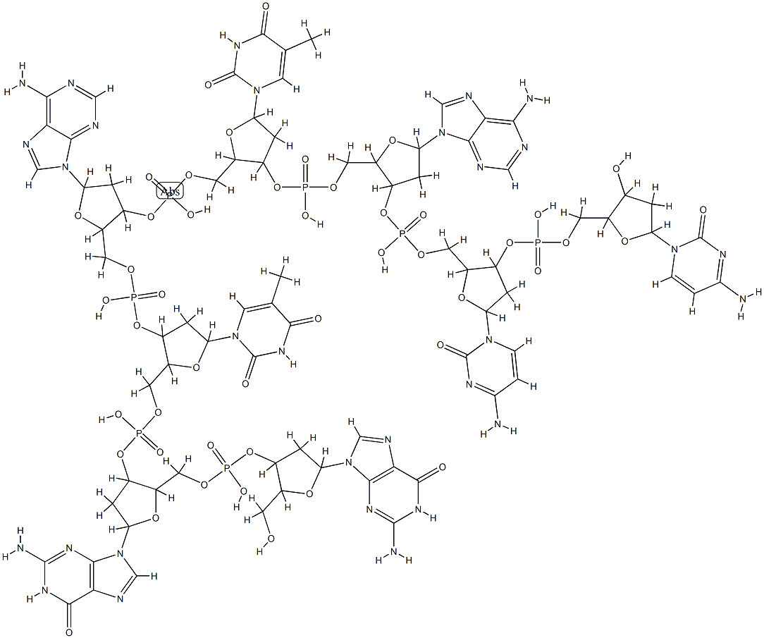 d(GGTATACC) Structure