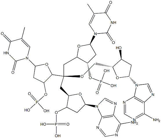 deoxy-(thymidylyl-adenylyl-adenylyl-thymidylic acid) 구조식 이미지