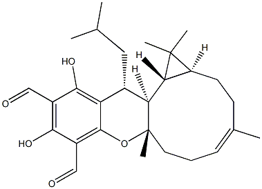 Euglobal IVb Structure