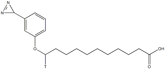 11-3-diazirinophenoxyundecanoate 구조식 이미지